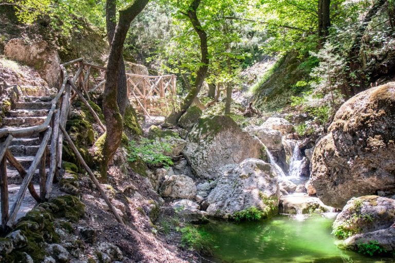 Manos Going - Rhodes Island Tours & Excursions Butterfly Valley